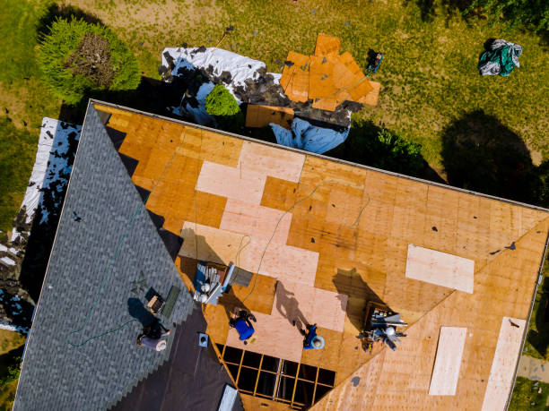 Best Roof Waterproofing Services  in Bellevue, OH